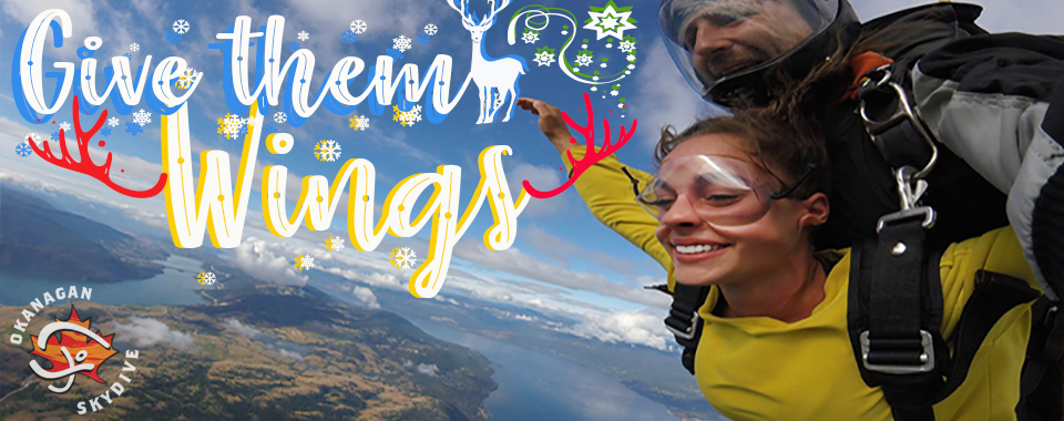 experienced-skydivers